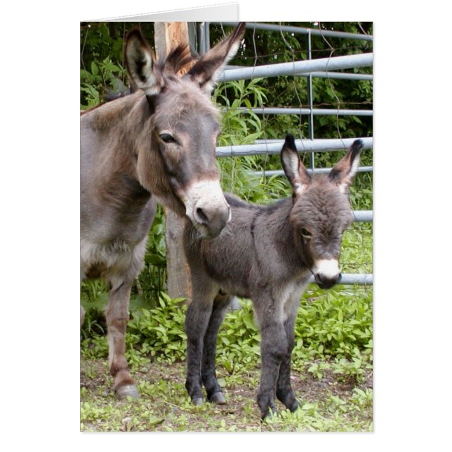 Shorty u. Mutter (Vorne)