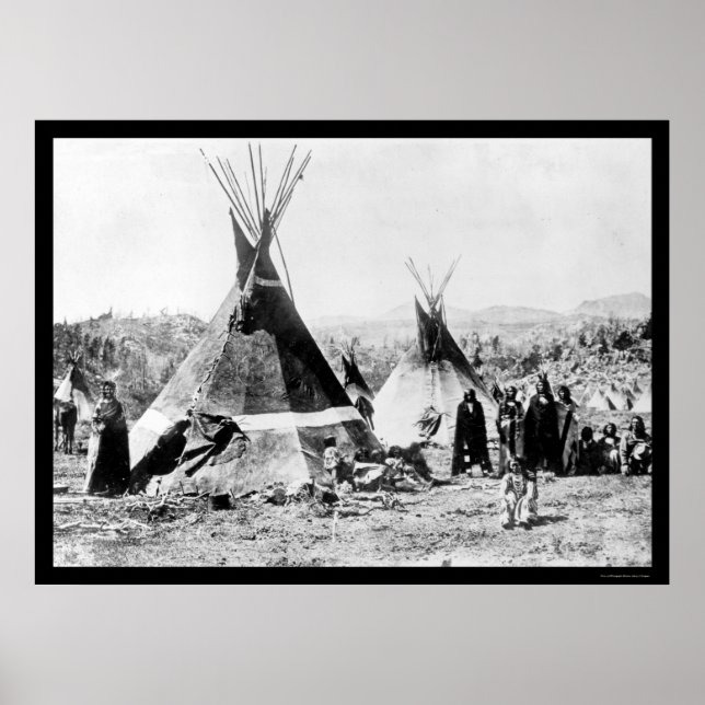 Shoshoni Indian und Skin Tipis 1884 Poster (Vorne)
