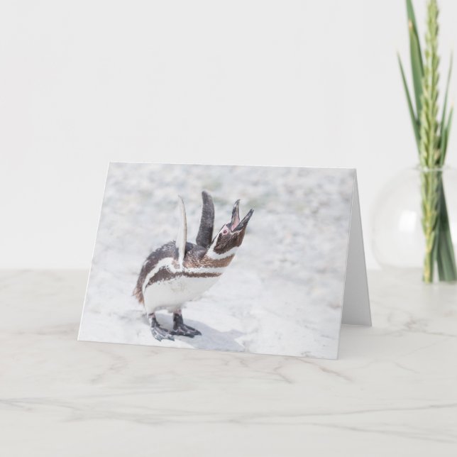 Shouting Penguin Karte (Vorderseite)