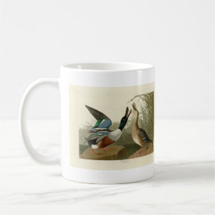 Shoveller Duck - von Audubon's Birds of America Kaffeetasse