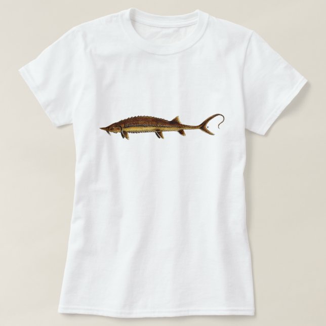 Shovelnose Stör - Scaphirhynchus platorynchus T-Shirt (Design vorne)