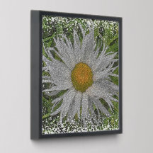Show Me A Daisy #1