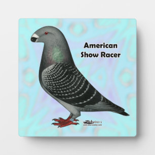 Show Racer ASR Fotoplatte