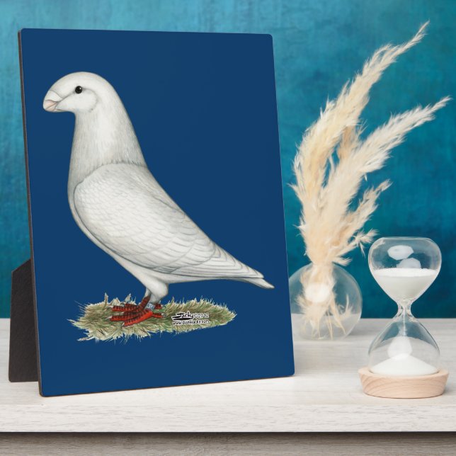 Show Racer White Fotoplatte (Seite)