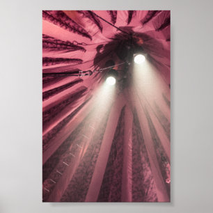 Showtime Spotlights unter der großen Spitze Poster