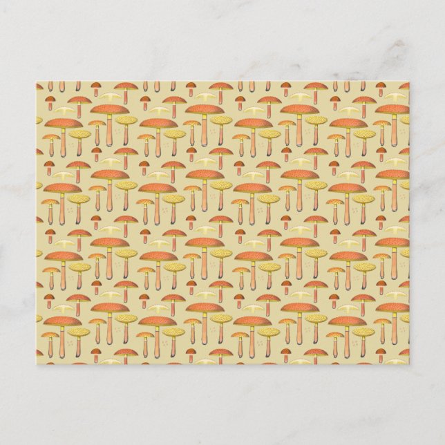 Showy Boletus Postkarte (Vorderseite)