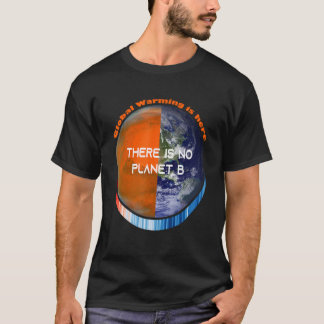 ShowYourStripes u2013 ES GIBT KEINEN PLANET B Glob T-Shirt