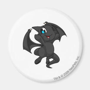 Shoyru Shadow Magnet