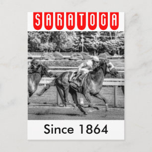 Shrewd One von Smarty Jones Postkarte