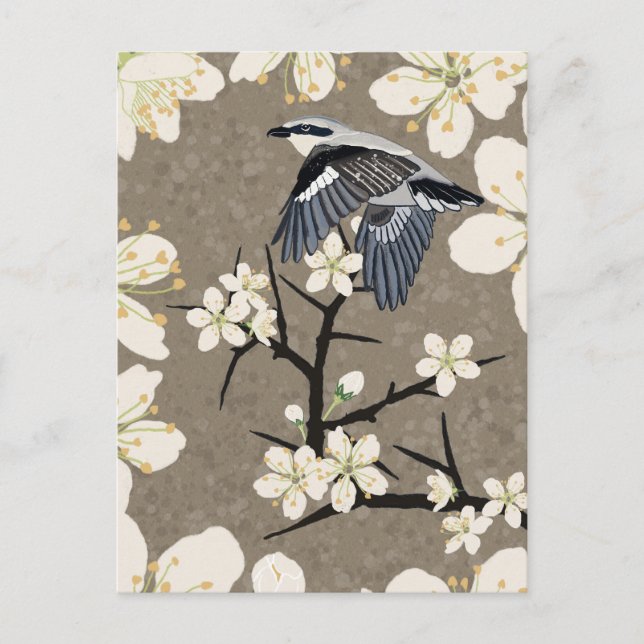 Shrike Feiertagspostkarte (Vorderseite)