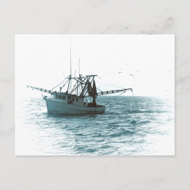 Shrimp Boat Postkarte (Vorderseite)
