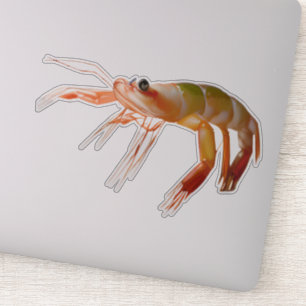 Shrimp kleiner Typ hart Aufkleber