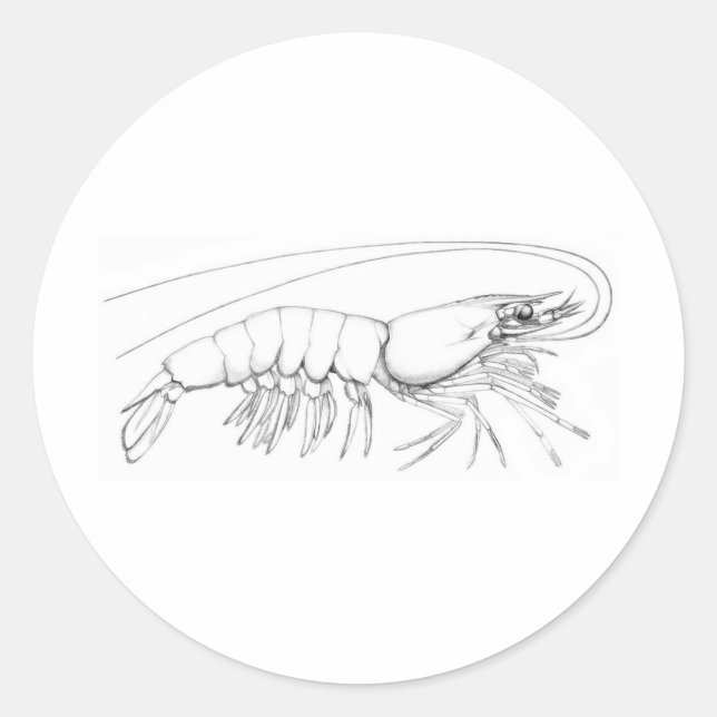 Shrimp-Logo Runder Aufkleber (Vorderseite)