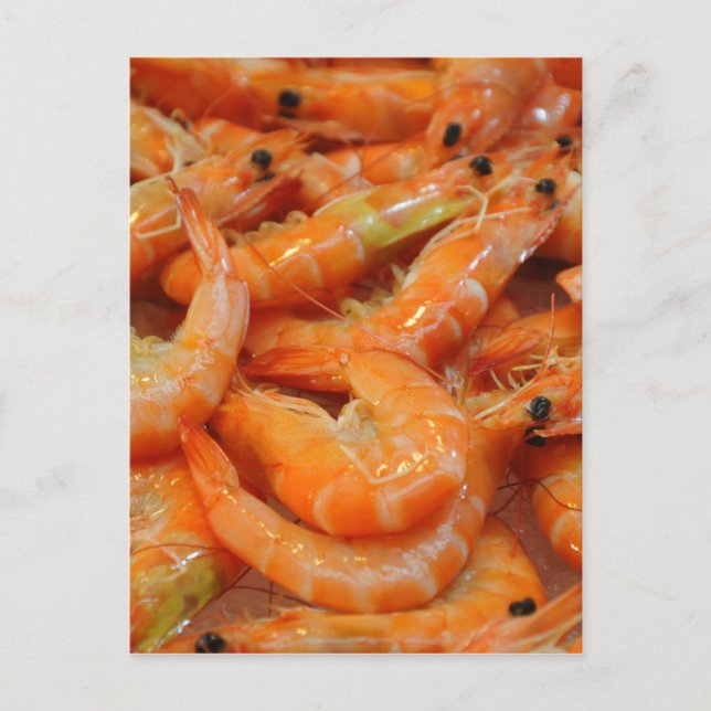 Shrimp Prawns Postkarte (Vorderseite)