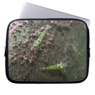 Shrimps Neopren Laptop-Sieb 10 Zoll Laptopschutzhülle