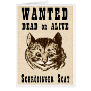 Shrodinger-Katze gewollt Plakat