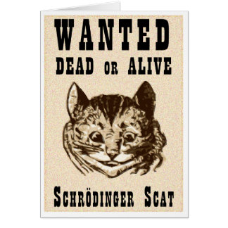 Shrodinger-Katze gewollt Plakat
