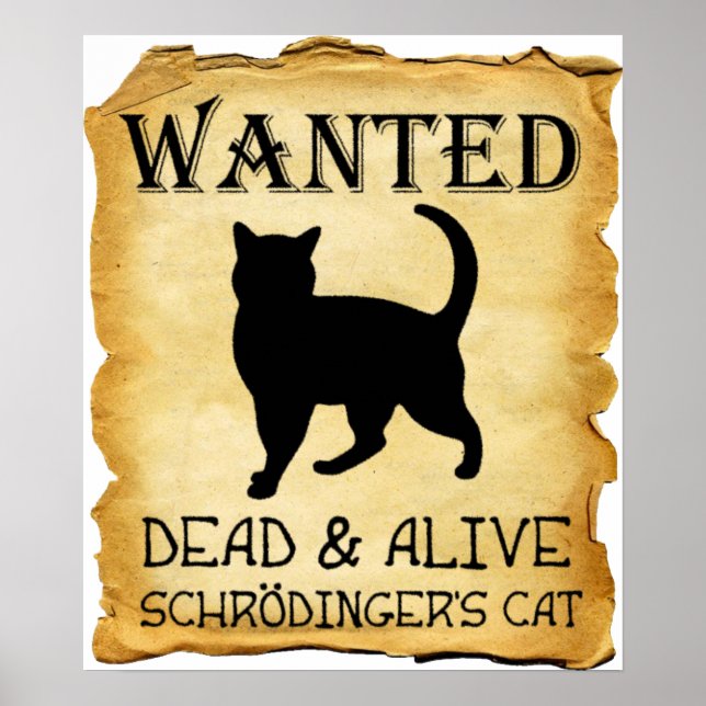 Shrodinger's Cat Funny Poster (Vorne)