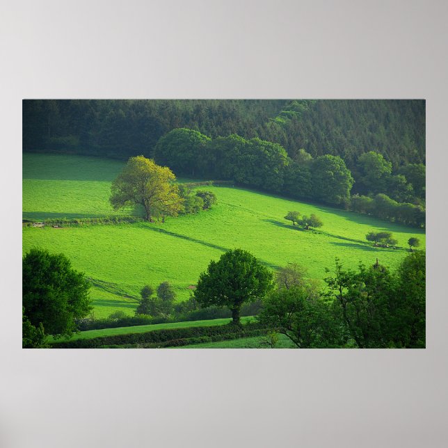 Shropshire Hills Poster (Vorne)