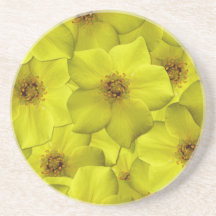 Shrubby Cinquefoil Nahtloses Muster