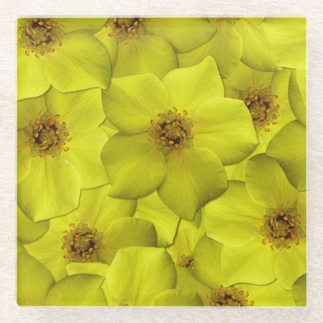 Shrubby Cinquefoil Nahtloses Muster Glasuntersetzer (Vorderseite)