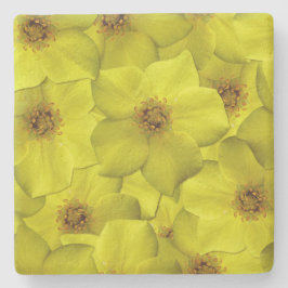 Shrubby Cinquefoil Nahtloses Muster Steinuntersetzer