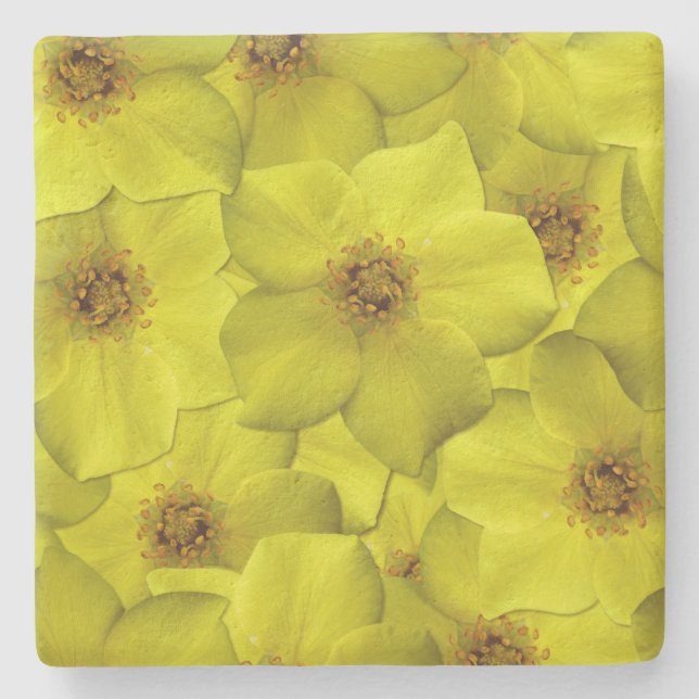 Shrubby Cinquefoil Nahtloses Muster Steinuntersetzer (Vorderseite)
