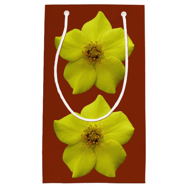 Shrubby Cinquefolie #1 Kleine Geschenktüte (Vorderseite)