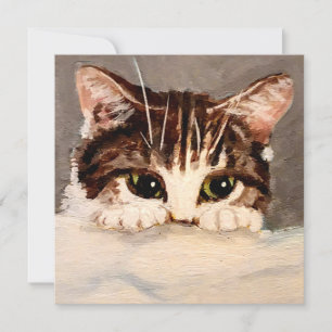 Shy & Curious Tabby Kitten