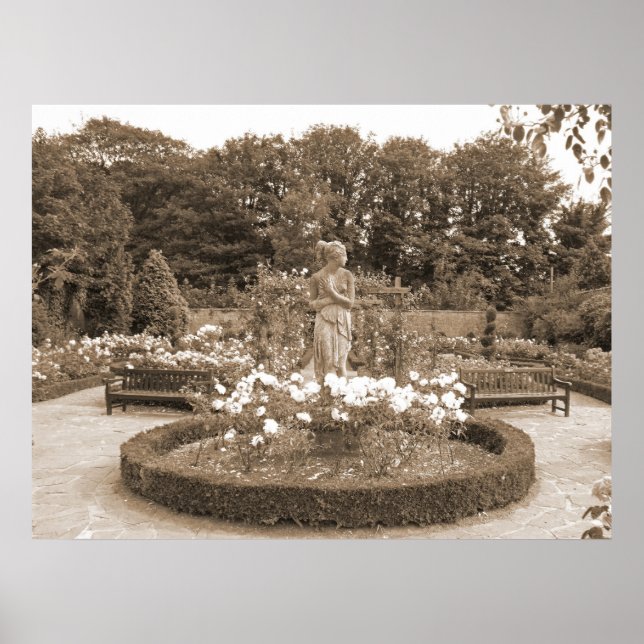 Shy Girl in the Roses Poster (Vorne)