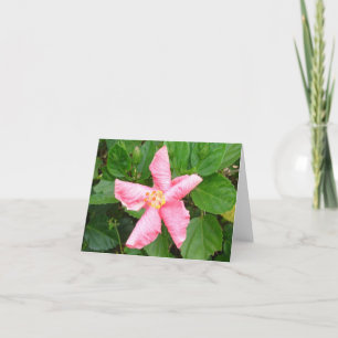 Shy Hibiscus Karte