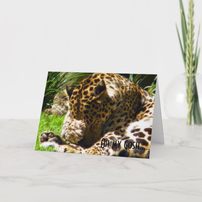 Shy Leopard Belated Greetings Feiertagskarte (Vorderseite)