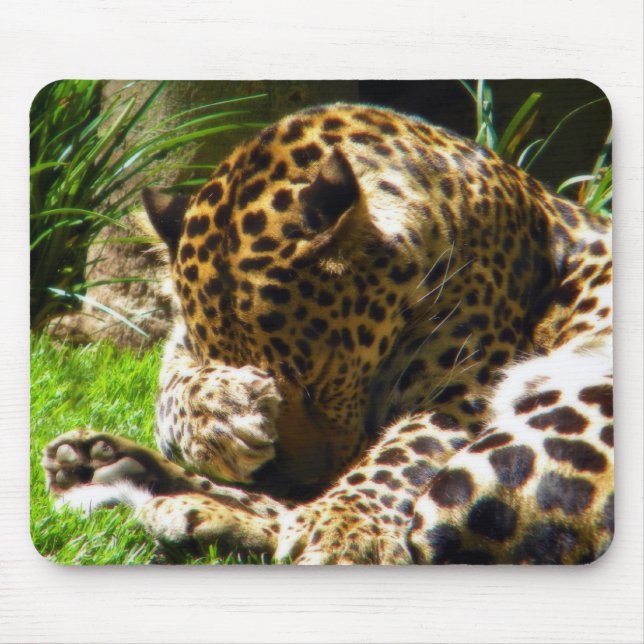 Shy Leopard Mousepad (Vorne)