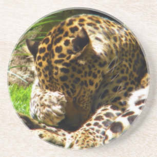 Shy Leopard Untersetzer