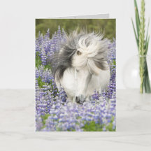 Shy Lupine Mare Horse Grußkarte