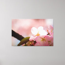 Shy Sakura Blume Shelter selbst hinter Blüten Leinwanddruck