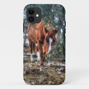 Shy Sorrel Mare und Branches Geschenk für Pferdefr Case-Mate iPhone Hülle