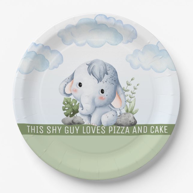 Shy Typ Birthday Paper Plate Pappteller (Vorderseite)