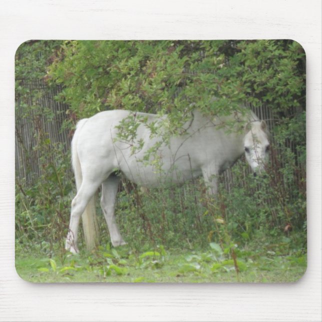 Shy White Horse Mousepad (Vorne)