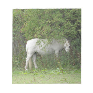 Shy White Horse Notepad Notizblock