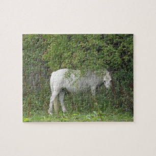 Shy White Horse Puzzle