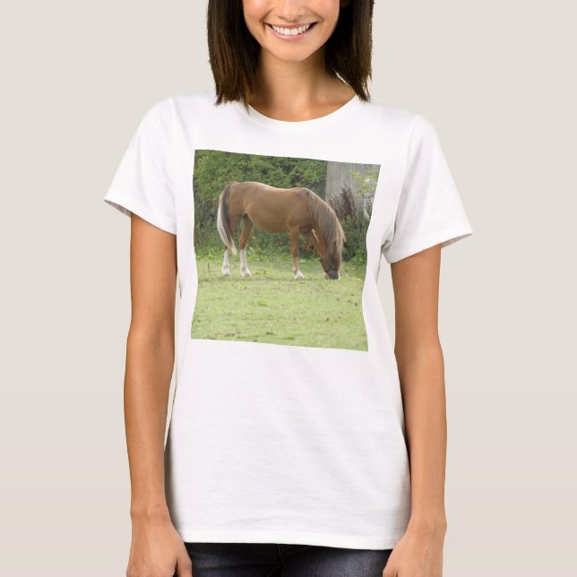 Shy White Horse T Shirt (Vorderseite)