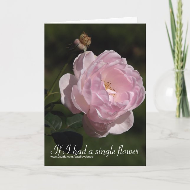 Si j'avais une fleur simple, carte de (Devant)