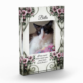 Si l'amour aurait pu vous sauver... bloc photo