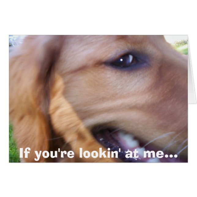 Si tu me regardes... (Devant horizontal)