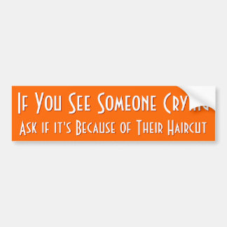 Si Vous Voyez Quelqu'Un Pleurer | Bumper Sticker