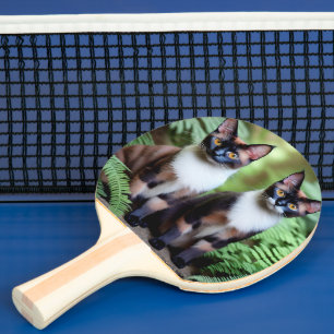 Siam Cat Twins, Ping Pong Paddle Tischtennis Schläger