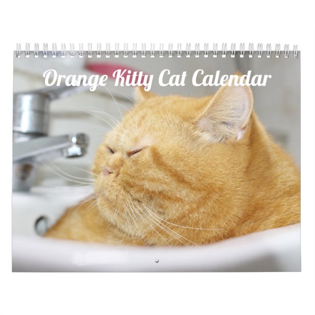 Siam Kitty Cat Niedlich 2021 Kalender (Titelbild)