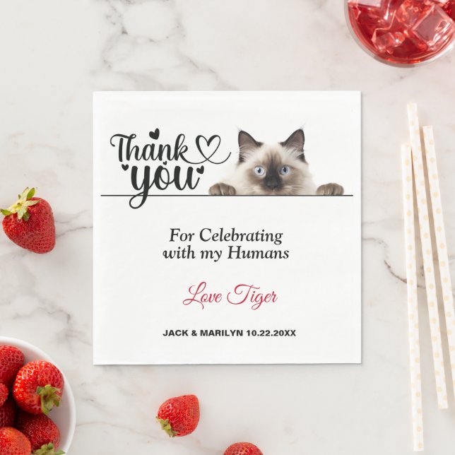 Siam Peeking Cat Paper Napkins Serviette (Beispiel)