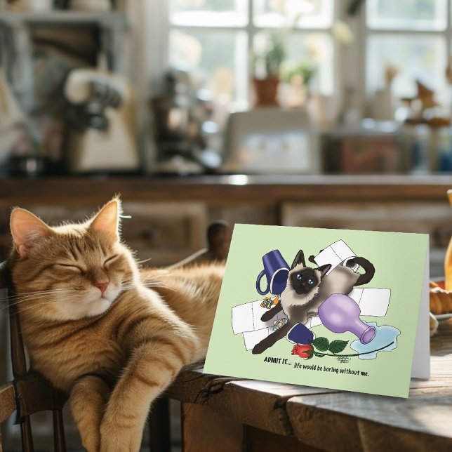 Siamese Cat Adoption Karte (Von Creator hochgeladen)